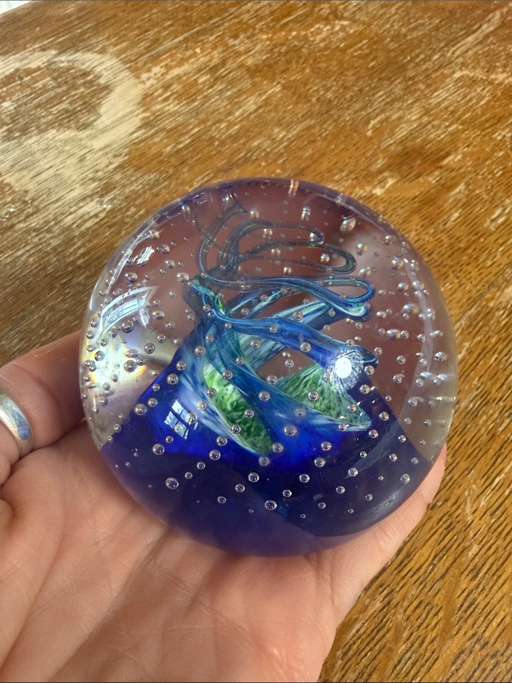 1993 Caithness Scotland Studio Art Glass Paperweight Reflections Collectors Club